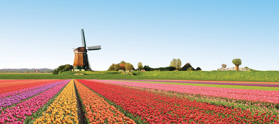 Dịch vụ làm visa đi Hà Lan nhanh và chất lượng dịch vụ tốt nhất - 2