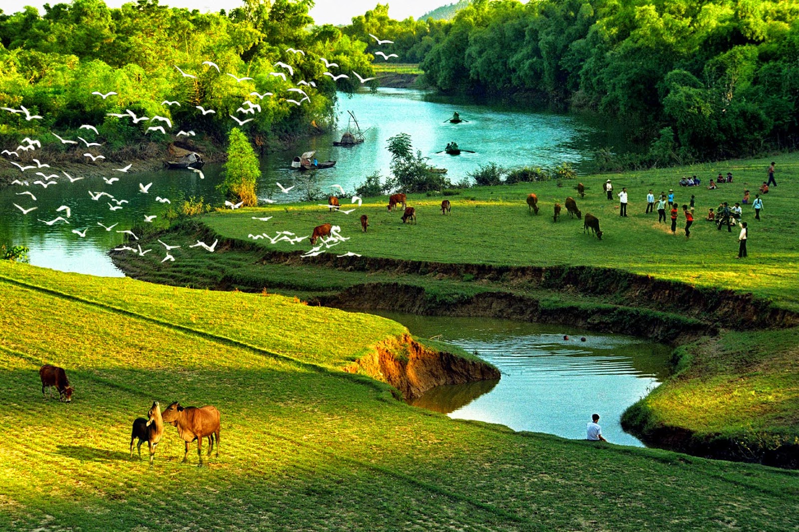 làm thẻ miễn thị thựckhám phá thiên nhiên đất nước Việt Nam