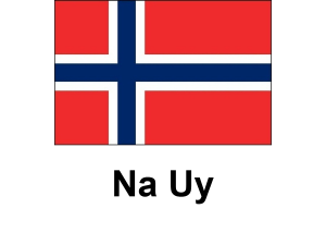 /files/images/flag-chau-au/dich-vu-visa-chau-au-norway-flag-300x225.png